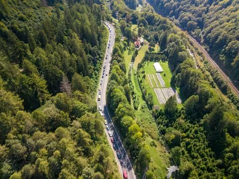 Curving road threads through forest in Romania, lined by moving cars. Woodlan Stock Photos