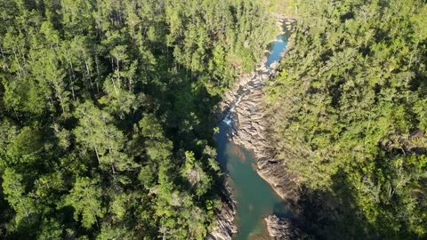 Curving shallow river in Belize highlands with low sun front light Stock Footage 333159334