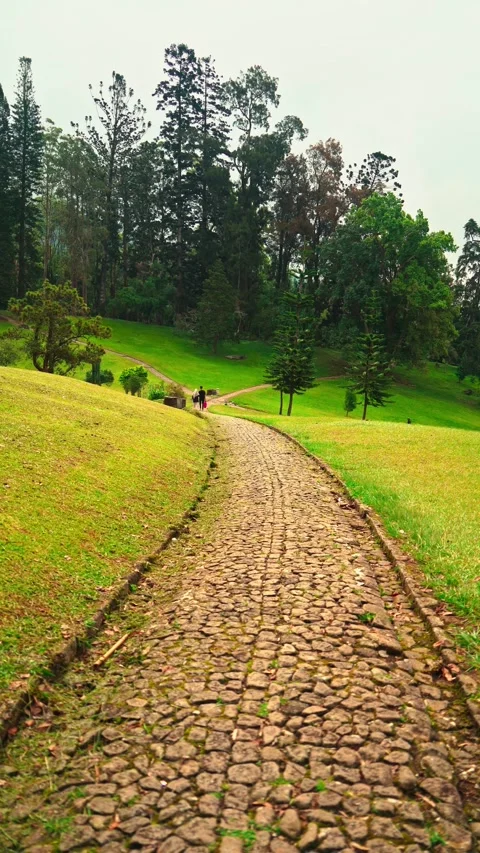 Curving stone path through green hillside Video stock 333500176