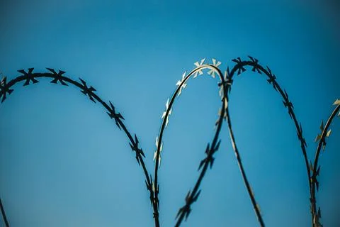Curving strands of dark barbed wire silhouetted against a clear blue sky wi.. Stock Photos