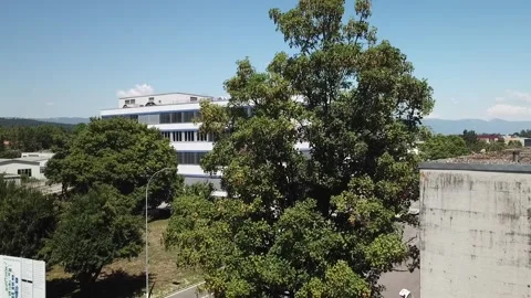 Curving street pass toward Feintool headquarters entrance Stock Footage 331897624