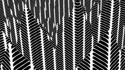 Curving stripes. Stock Footage 266969016