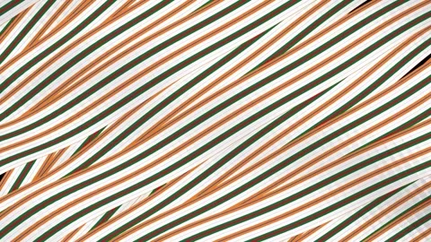 Curving stripes. Stock Footage 314917361