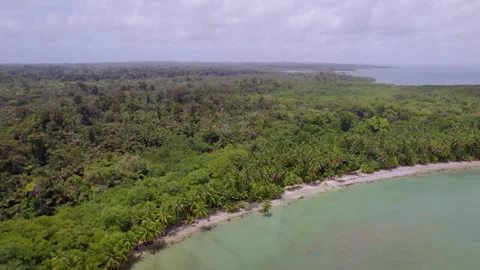 Curving tropical bay bordered by dense forest in Bocas del Toro Vídeo Stock 345631080