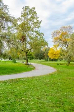 Curving walking path through green urban park with autumn trees and benches Fotos de archivo
