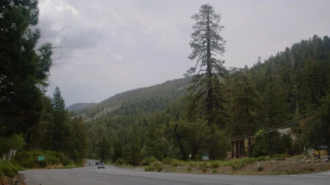 Curvy Mountain Road with Caution Signs and Trees Wide Stock Footage 169936645