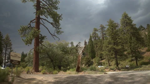 Curvy Mountain Road with Clouds and Trees Stock Footage 169948907