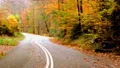 curvy mountain road with falling leaves in autumn 4k or 4k+ Resolution