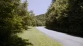 curvy mountain road lined with yellow wildflowers 4k or 4k+ Resolution