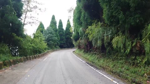 Curvy Mountain Road Passing Through Green Forest | Scenic Winding Hill Drive Stock Footage 324838022