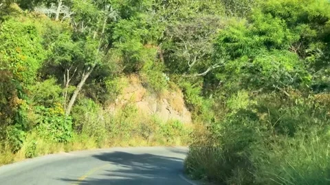 Curvy Mountain Road with Utility Pole Stock Footage 297319396