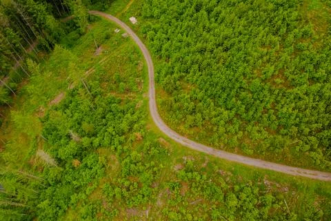 A curvy path through the green meadow Stock Photos
