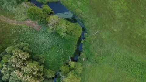 Curvy river in the middle of fields. Aerial sunrise shot Stockbeeldmateriaal 170136063