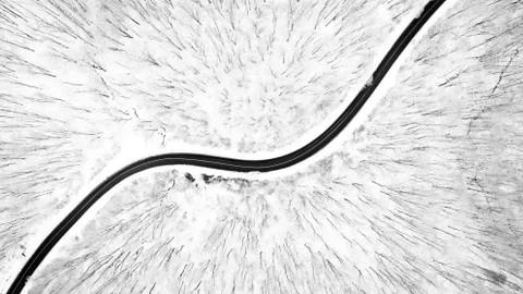 Curvy road through leafless forest in winter 库存照片