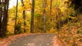curvy winding single mountain road vivid autumn 1 4k or 4k+ Resolution