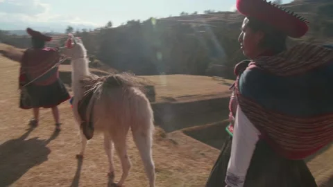 Cusco native people and their alpacas walking Stock Footage 157618743