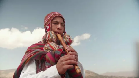Cusco native people and their alpacas walking Stock Footage 157618875