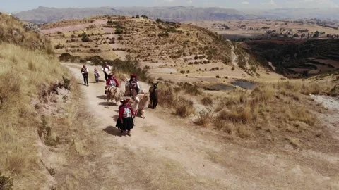 Cusco native people and their alpacas walking Stock Footage 157618901