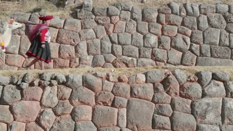 Cusco native people and their alpacas walking Stock Footage 157618902