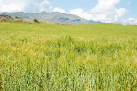 Cusco Outskirts Area Stock Photos