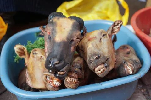 Cusco, Peru Stock Photos