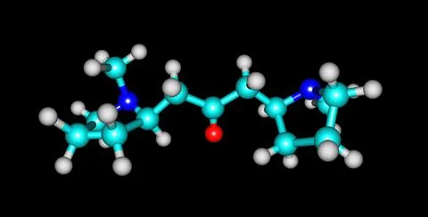 Cuscohygrine molecular structure isolated on black Stock Illustration