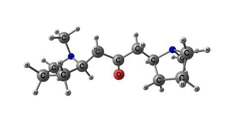 Cuscohygrine molecular structure isolated on white Stock Illustration