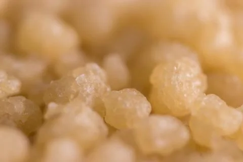 Cuscus in the close Stock Photos