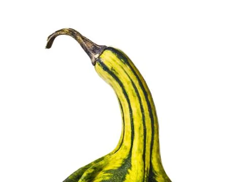 Cushaw squash Stock Photos