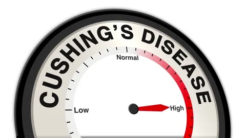 Cushing Disease Text or Word Level - Low Normal High – Barometer Stock Footage 308665499