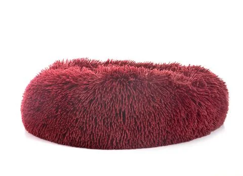 Cushion in studio Stock Photos