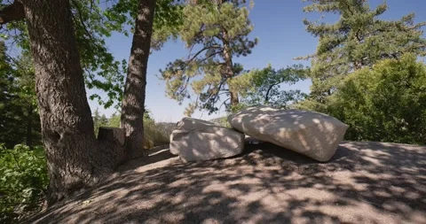 Cushions Resting on Rock Under Trees in Forest Setting 스톡 동영상 323352807
