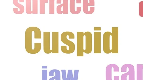 Cuspid Tagcloud Animated Isolated On White Stock Footage 107208683