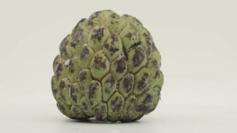 Custard apple closeup Stock Footage 235368698