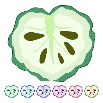 Custard apple cross section showing seeds and pulp graphic Stock Illustration