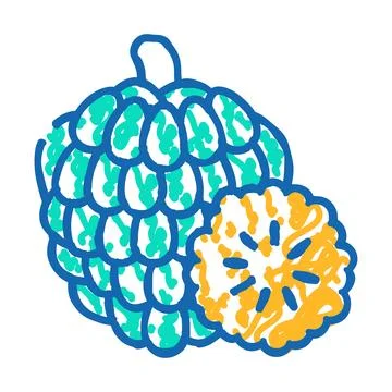 Custard apple fruit icon doodle illustration Stock Illustration