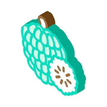 Custard apple fruit isometric icon vector illustration Stock Illustration