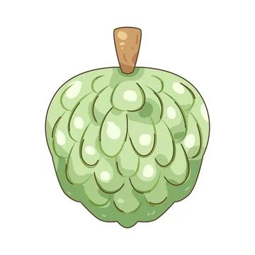 Custard apple Stock Illustration