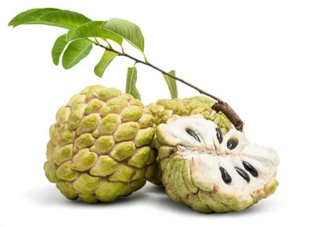 Custard apple isolated Stock Photos