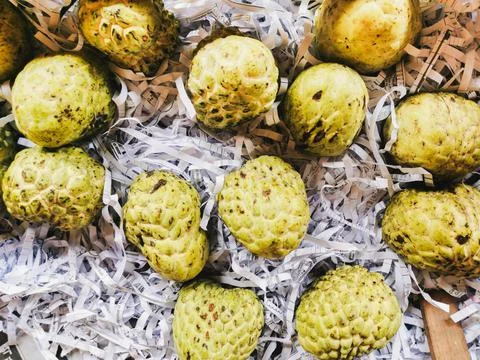 Custard apple in package prepare in box, ready to go on sale Stock Photos