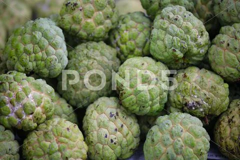 Custard apple Stock Photos