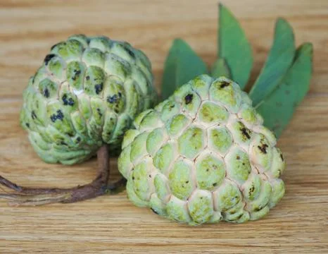 Custard apple Stock Photos