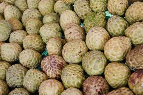 The Custard apple . Stock Photos