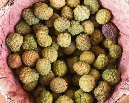 Custard apple Stock Photos