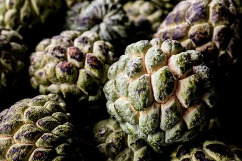 The custard apple Stock Photos