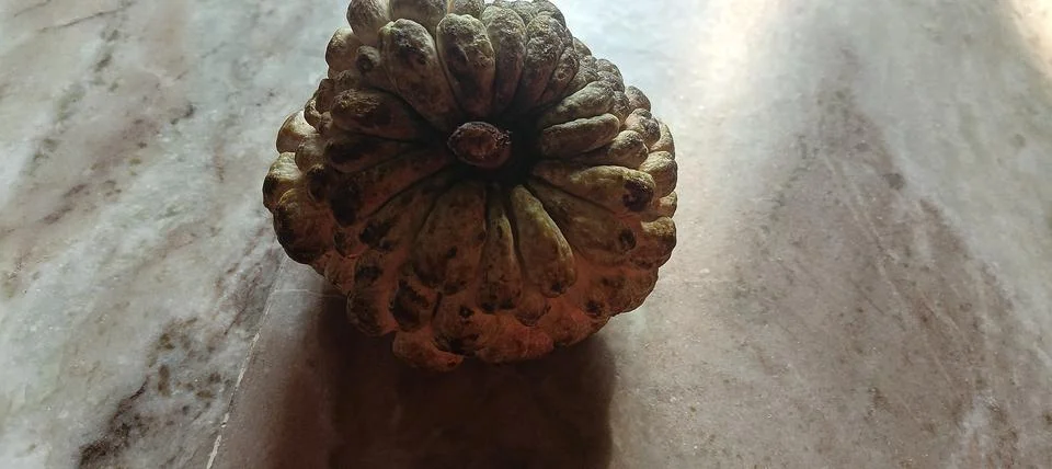 Custard Apple Stock Photos