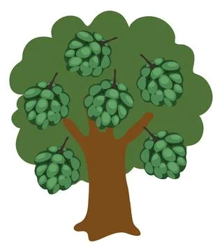 Custard Apple Tree Vector Stock Illustration
