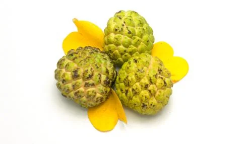 Custard apple on white background Stock Photos