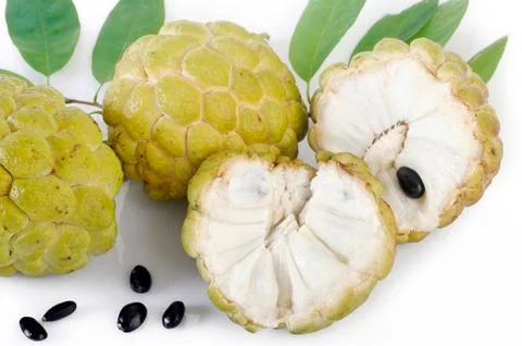Custard apple on white background Stock Photos