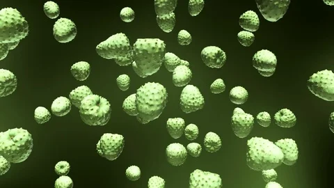 Custard Apples Floating on a White Background 库存影片 72299606